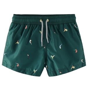 Zara Teal Swim Trunks with Multicolor Bird Print
